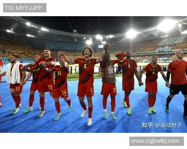 比利时足球明星的辉煌历程与成就解析