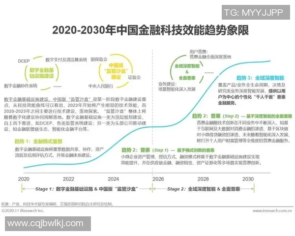 中国足球发展历程与现状分析及未来展望